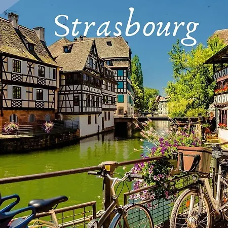 Le Refuge Fleuri T5 Avec Terrasse Et Jardin Appartement