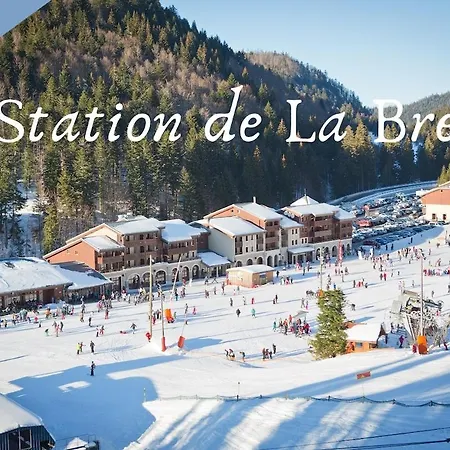 Le Refuge Fleuri T5 Avec Terrasse Et Jardin Brunstatt