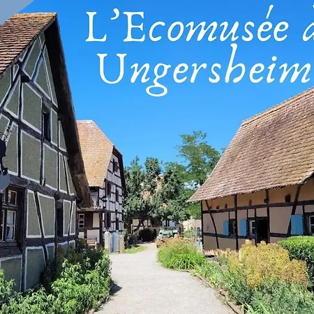 Le Refuge Fleuri T5 Avec Terrasse Et Jardin * Brunstatt