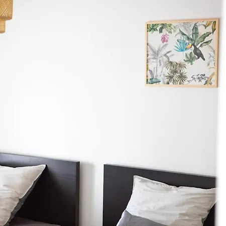Le Refuge Fleuri T5 Avec Terrasse Et Jardin Apartment Brunstatt