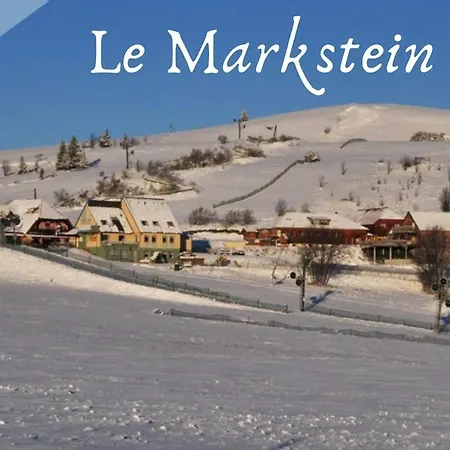 Le Refuge Fleuri T5 Avec Terrasse Et Jardin Appartement